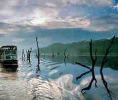 Thekkady -Kerala Tour Packages with Price