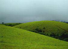 Vagamon Kerala honeymoon places