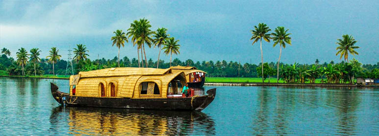 Kerala Monsoon tour