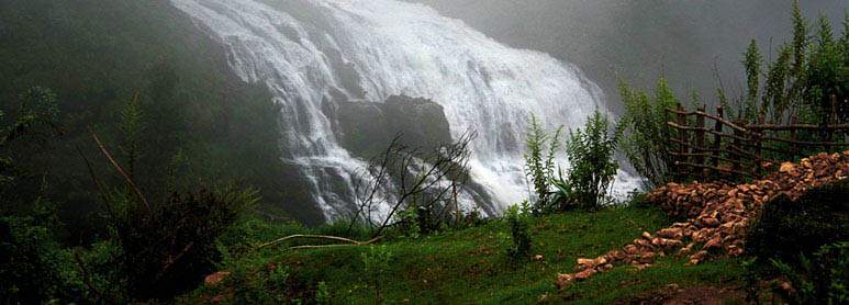 Kerala Monsoon