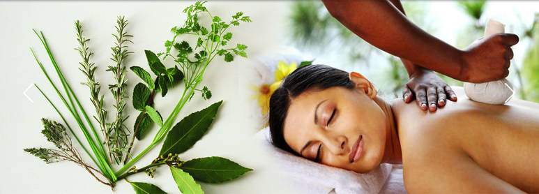 Kerala Monsoon Ayurveda