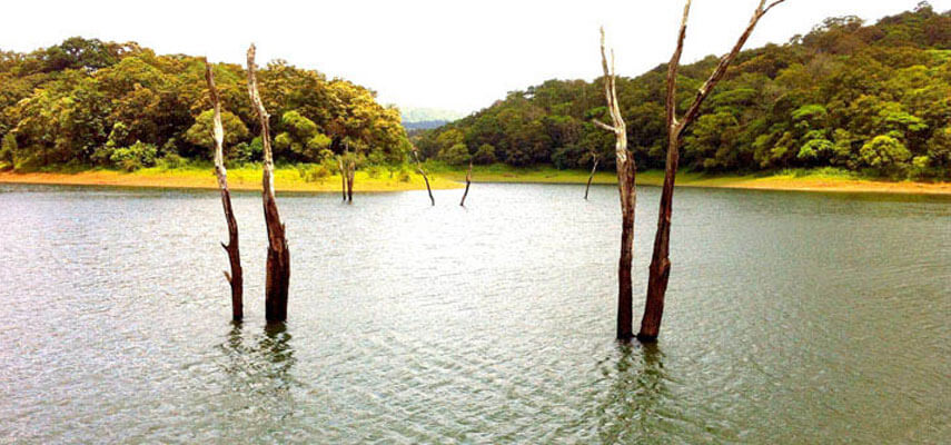 places to visit in thekkady