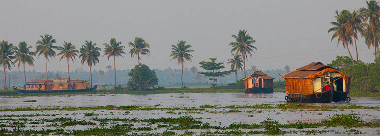 Alleppey tour packages