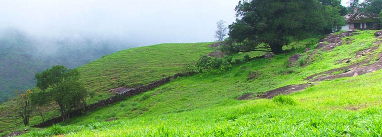 Kozhikode Tour Packages 