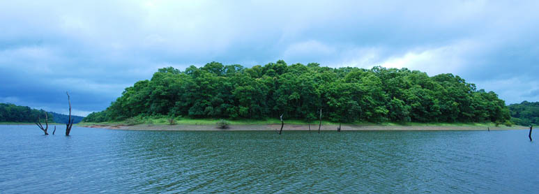 Thekkady Kerala Backwater Tour Packages