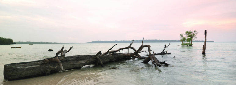 Andaman Tour Packages