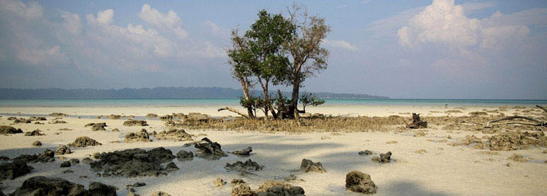 Andaman Tour Package