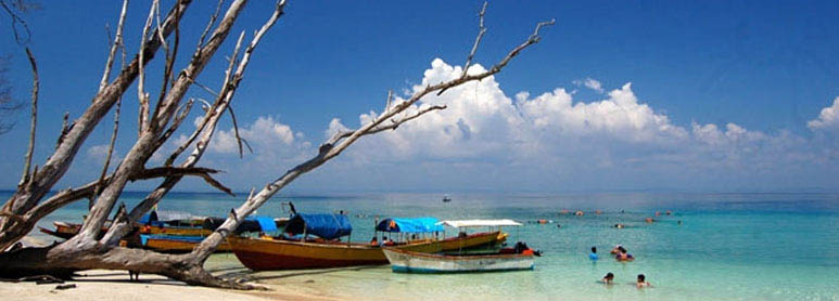 Andaman Honeymoon Tour Packages