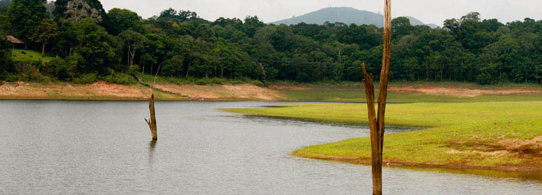 Thekkady Tour Packages | Kerala Wildlife Tourism packages by Thekkady tour operators