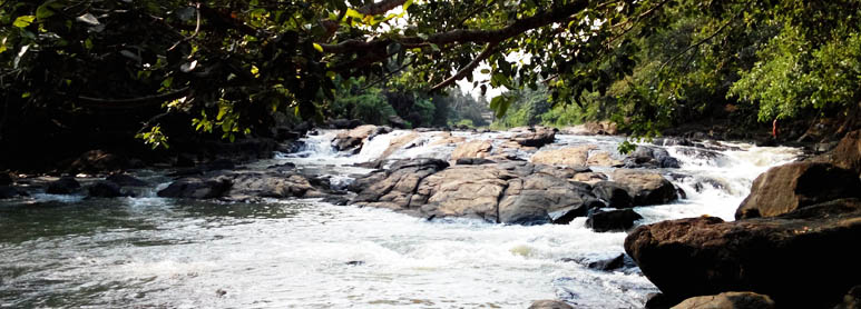 Kerala Holiday Packages