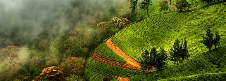 Ecotourism Package in Kerala