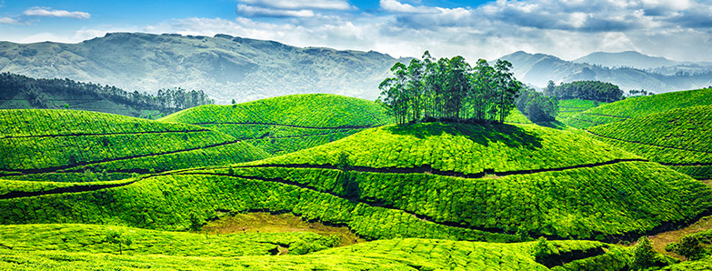 Kerala Holiday Package