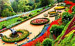 Ooty Botanical garden