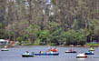 Optional:Boating in Kodaikanal lake(on extra cost)