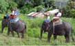 Optional Tours:Chellarkoval Visit  (by jeep only)/Elephant safari Tribal village visit (at extra cost)