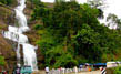 Valara and Cheeyappara Waterfalls (on the way)