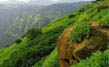 Echo Point Munnar