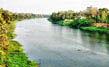 Chalakudy River