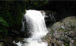 Attukadu Waterfalls
