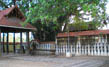 Janardhana Swamy Temple